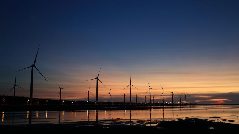 A wind farm harvesting energy for electricity generation.