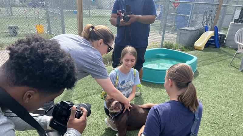 Com430 students and professor petting and photographing a brown dog outside.