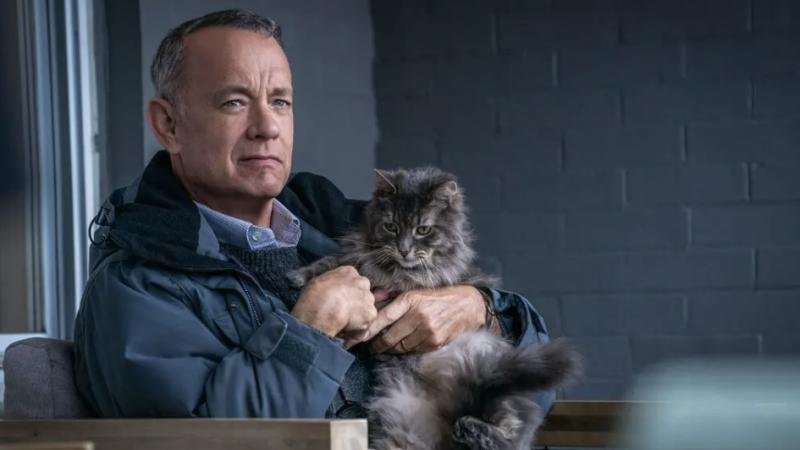 Tom Hanks as Otto Anderson sitting on his porch, holding his pet cat in a still from Sony's "A Man Called Otto"