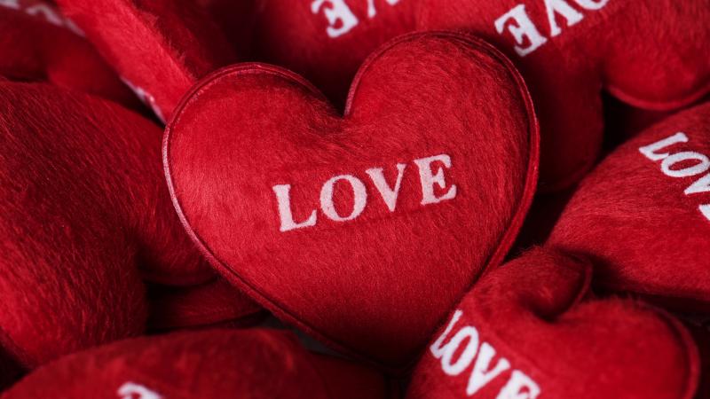 Love written on heart-shaped cushions