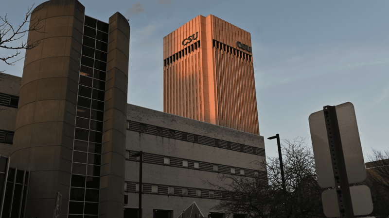 csu rhodes tower