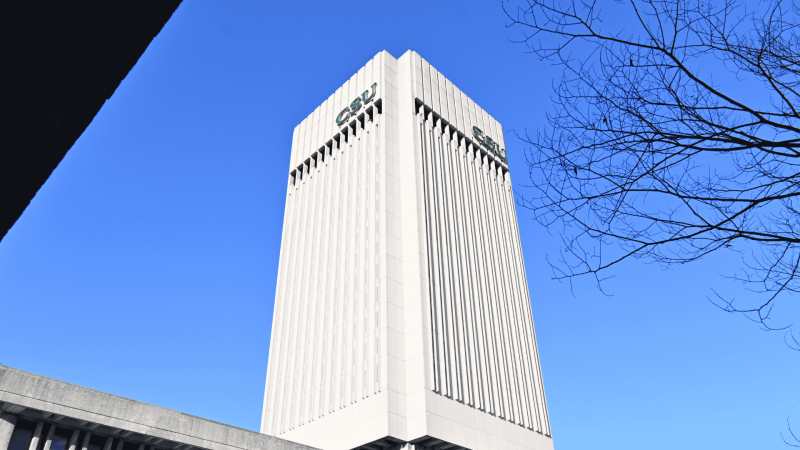 csu rhodes tower