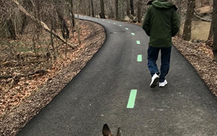 A man and dog take a stroll through the Metroparks during the COVID-19 pandemic.