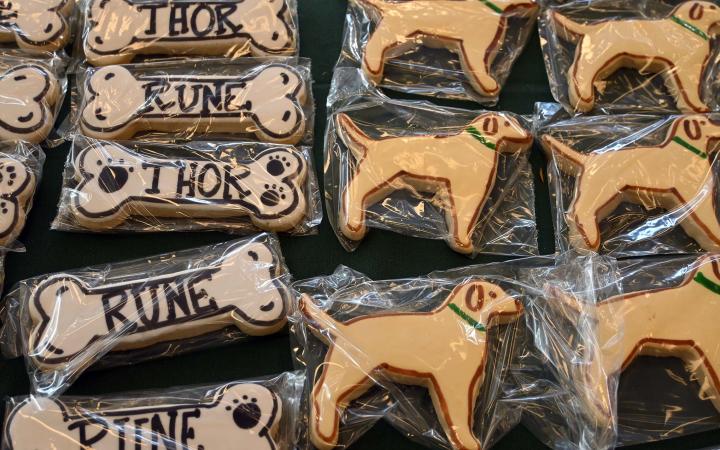 Dog treats named after CSU's beloved therapy dogs.