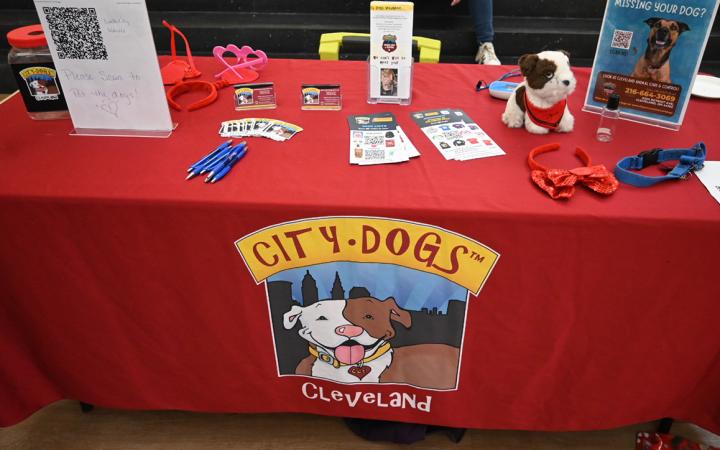 CITY DOG provides more information about their adoption program at the CAB-sponsored Destress and Desserts event, Feb. 13, 2024. (credit: Alex Martinez)