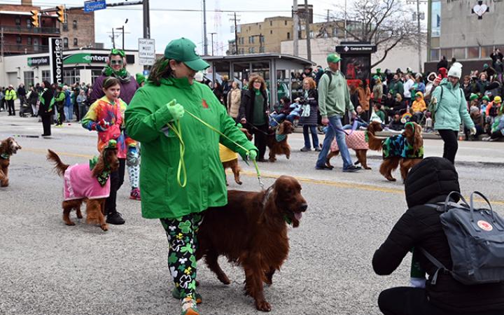 Irish Setters owners dressed their pets for the St. Patrick’s Day parade, March 17, 2024. (credit: Alex Martinez)