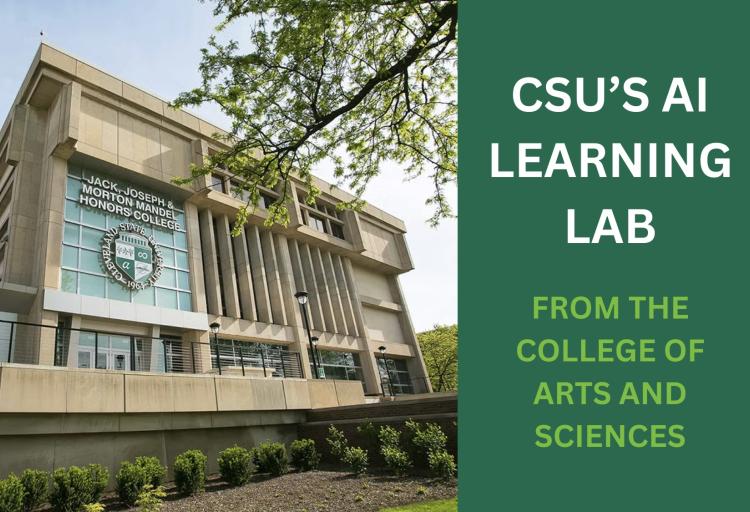 COMM-AI-LEARNING-LAB