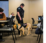 CSU PD officer Toni and therapy dog Rune.