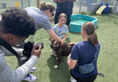 Oak, a dog at Cleveland City Dogs