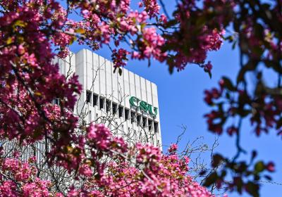 Rhodes Tower seen through blossoms