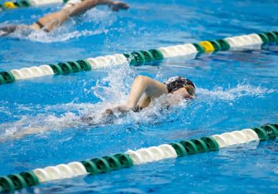 Photo of CSU athlete swimming. 