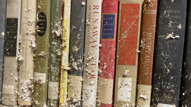 Some books still have to be cleaned before the second floor of the library can be fully opened.