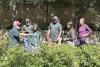 Tim Joseph talks to the group about spirea shrubs.